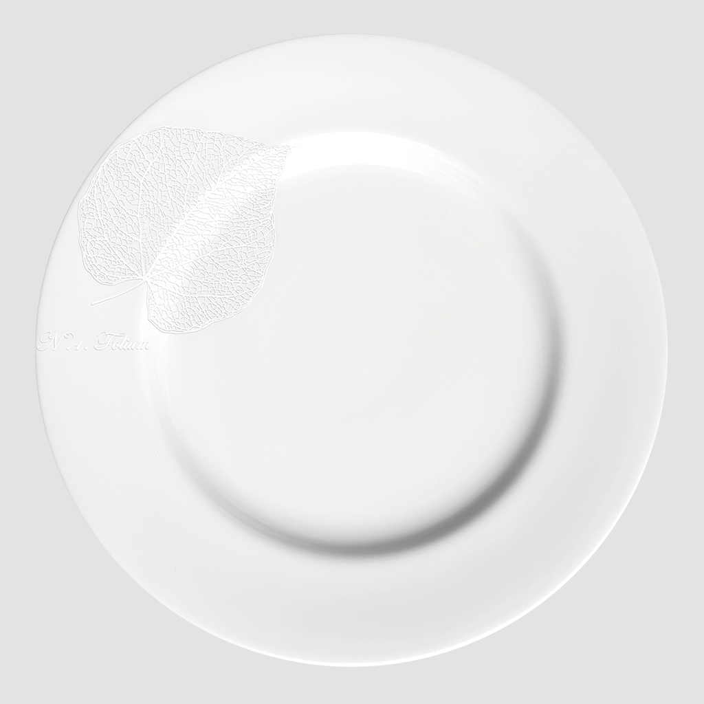 Bianco piatto piano - dinner plate