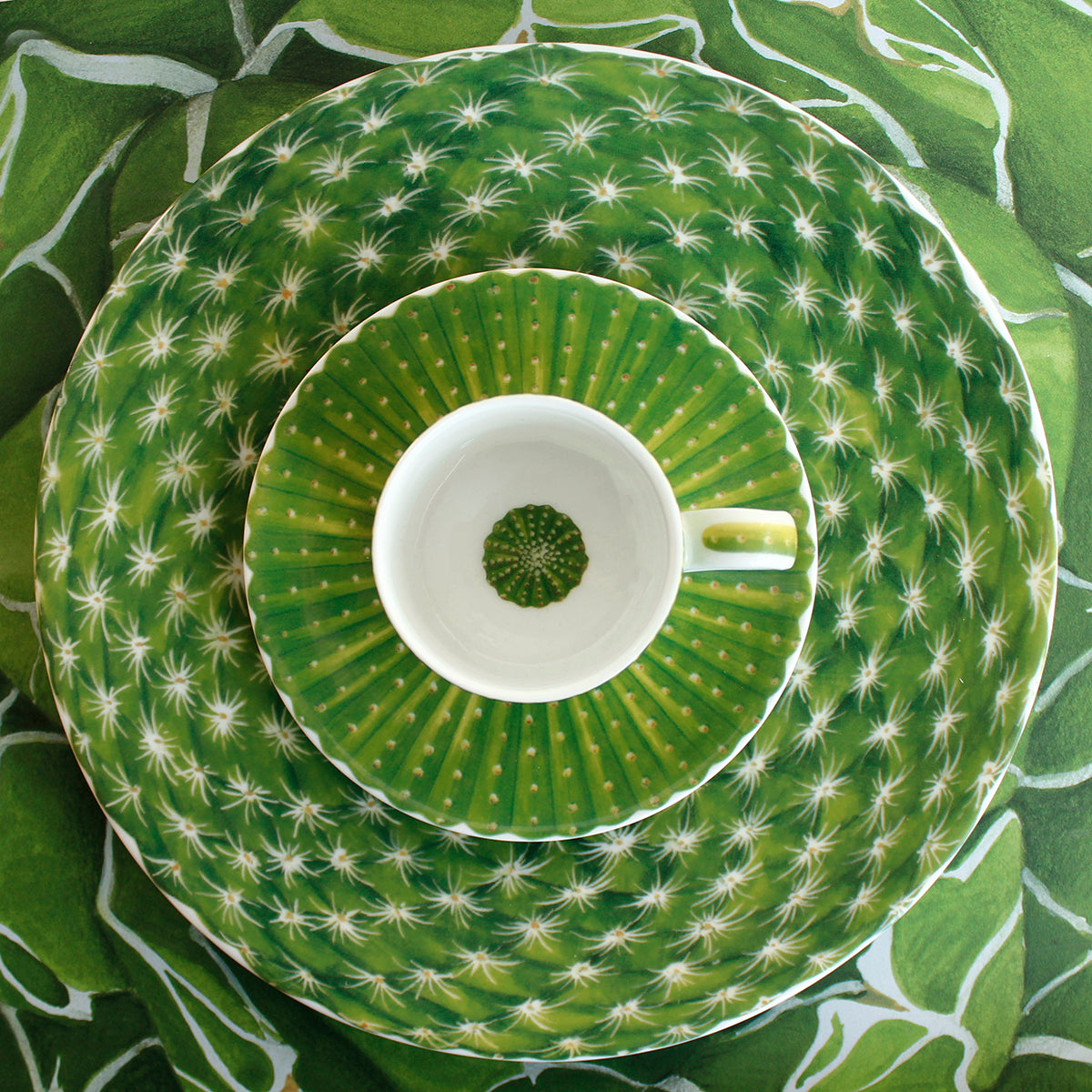 Cactus Tazzina Espresso e Piattino - Espresso cup and Saucer